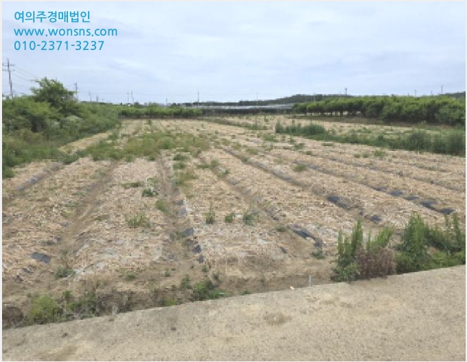 ÅäÁö(´ä) »çÁø1 | ¿µÃµ½Ã ±ÝÈ£À¾ ¿À°è¸® | 2025Ÿ°æ7985 | ÅäÁö(´ä)°æ¸Å