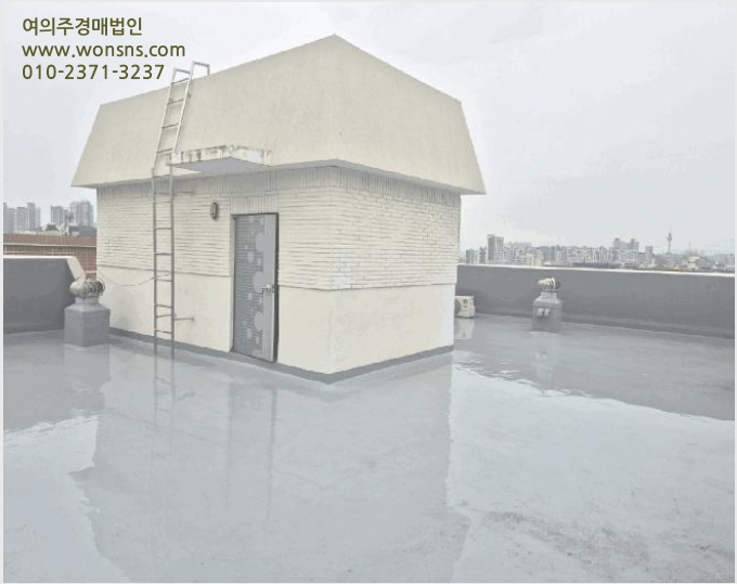 ´Ù°¡±¸ÁÖÅà »çÁø1 | ´Þ¼±¸ ¼ÛÇöµ¿ 798-363 | 2025Ÿ°æ31251 | ´Ù°¡±¸ÁÖÅðæ¸Å