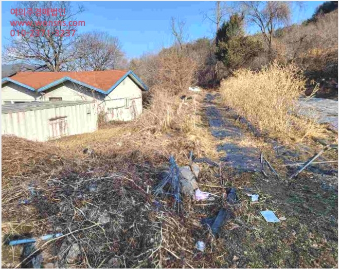 ÅäÁö(´ä) »çÁø1 | ¾çÆò±º °ÇÏ¸é µ¿¿À¸® | 2024Ÿ°æ31381 | ÅäÁö(´ä)°æ¸Å