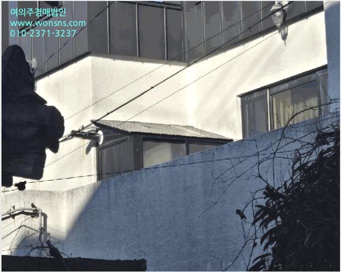 ´Üµ¶ÁÖÅà »çÁø1 | Á¦Áֽà ¾Ö¿ùÀ¾ °í¼º¸® | 2025Ÿ°æ1213 | ´Üµ¶ÁÖÅðæ¸Å