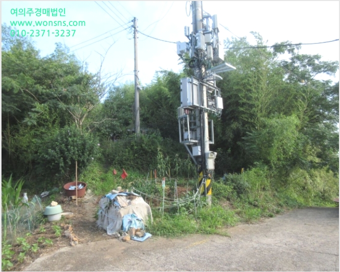 ÅäÁö(ÀâÁ¾Áö) »çÁø1 | ¿µ¾Ï±º ¿µ¾ÏÀ¾ ¼³²¸® | 2022Ÿ°æ53567 | ÅäÁö(ÀâÁ¾Áö)°æ¸Å