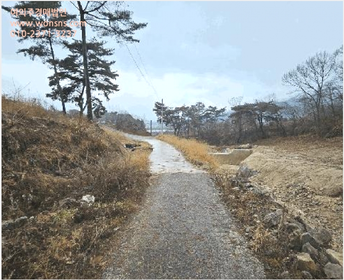 ÅäÁö(°ú¼ö¿ø) »çÁø1 | ´ã¾ç±º °í¼¸é °íÀ¾¸® | 2025Ÿ°æ34260 | ÅäÁö(°ú¼ö¿ø)°æ¸Å