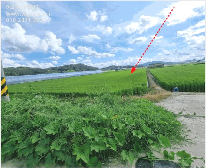 ÅäÁö(´ä) »çÁø1 | ¿¬±â±º µ¿¸é ¹®ÁÖ¸® | 2025Ÿ°æ3805 | ÅäÁö(´ä)°æ¸Å
