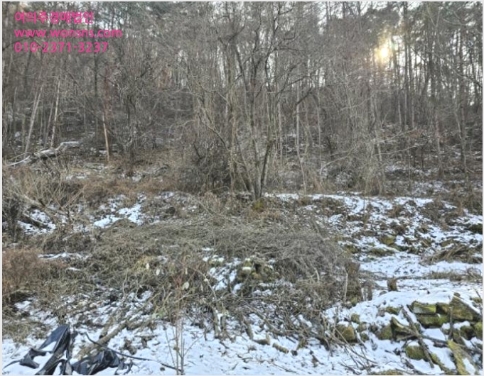 ÅäÁö(Àü) »çÁø1 | Æòⱺ ¹Ìź¸é ¸¶Çϸ® | 2023Ÿ°æ13167 | ÅäÁö(Àü)°æ¸Å