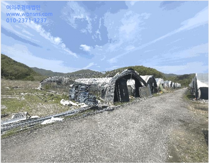 ÅäÁö(´ä) »çÁø1 | ÃæÁֽà ³ëÀº¸é ´ë´ö¸® | 2024Ÿ°æ1169 | ÅäÁö(´ä)°æ¸Å
