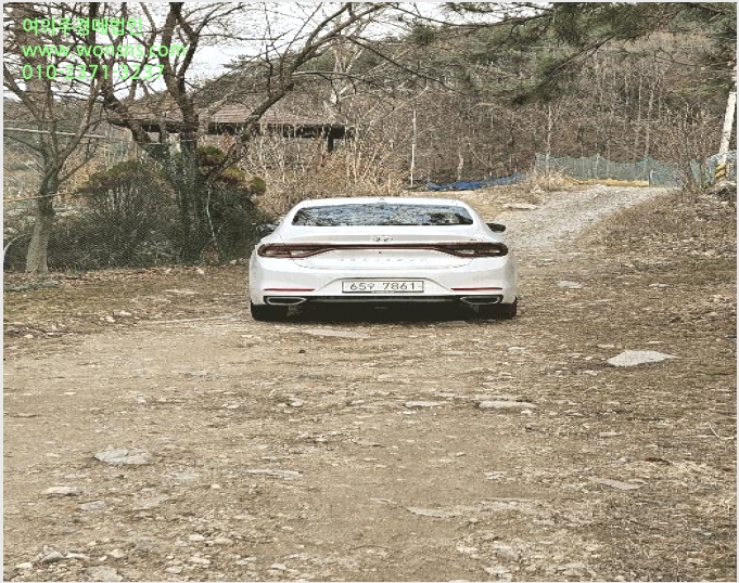 ÅäÁö(ÀÓ¾ß) »çÁø1 | ±âÀ屺 Á¤°üÀ¾ µÎ¸í¸® | 2025Ÿ°æ4998 | ÅäÁö(ÀÓ¾ß)°æ¸Å