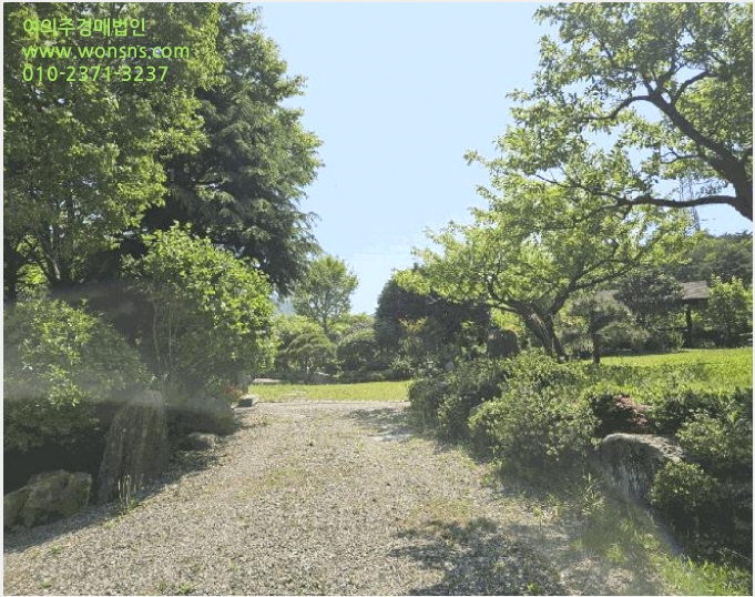 ÅäÁö(ÀÓ¾ß) »çÁø1 | ±âÀ屺 Á¤°üÀ¾ µÎ¸í¸® | 2025Ÿ°æ4998 | ÅäÁö(ÀÓ¾ß)°æ¸Å