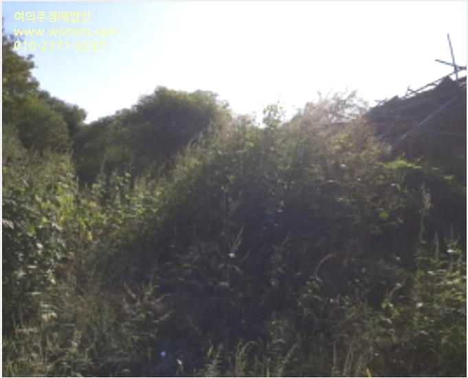 ÅäÁö(Àü) »çÁø1 | °È±º ÇÏÁ¡¸é ºÎ±Ù¸® | 2022Ÿ°æ521399 | ÅäÁö(Àü)°æ¸Å