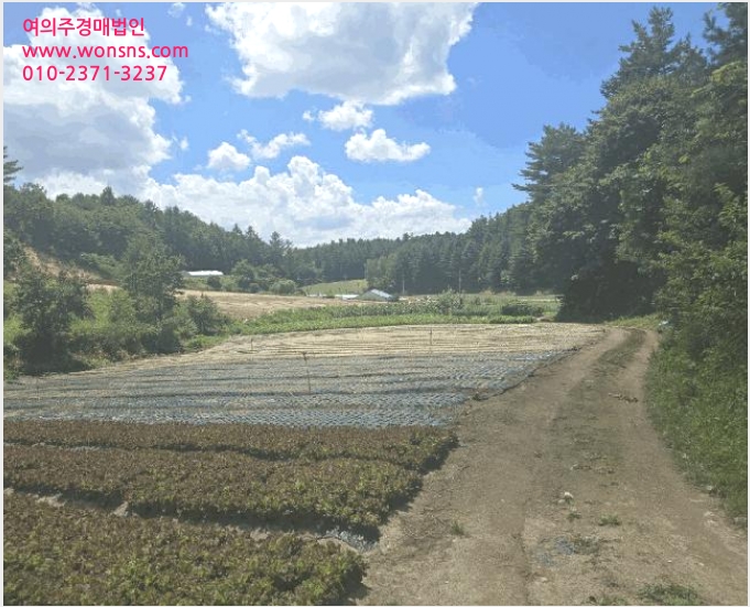 ÅäÁö(Àü) »çÁø1 | °¸ª½Ã ¿Õ»ê¸é °í´Ü¸® | 2025Ÿ°æ30646 | ÅäÁö(Àü)°æ¸Å