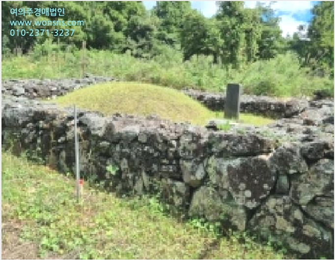 ÅäÁö(ÀÓ¾ß) »çÁø1 | ¼±ÍÆ÷½Ã ³²¿øÀ¾ Çѳ²¸® | 2025Ÿ°æ1613 | ÅäÁö(ÀÓ¾ß)°æ¸Å