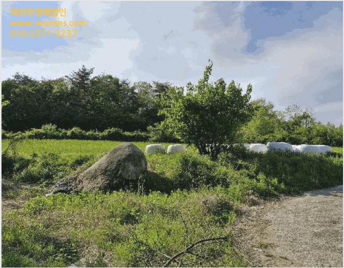 ÅäÁö(Àü) »çÁø1 | °æÁֽà ¿Üµ¿À¾ ³Ãõ¸® | 2025Ÿ°æ383 | ÅäÁö(Àü)°æ¸Å
