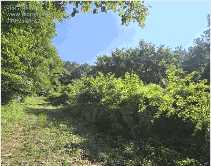 ÅäÁö(ÀÓ¾ß) »çÁø1 | »çõ½Ã ½Ç¾Èµ¿ 258 | 2025Ÿ°æ31164 | ÅäÁö(ÀÓ¾ß)°æ¸Å