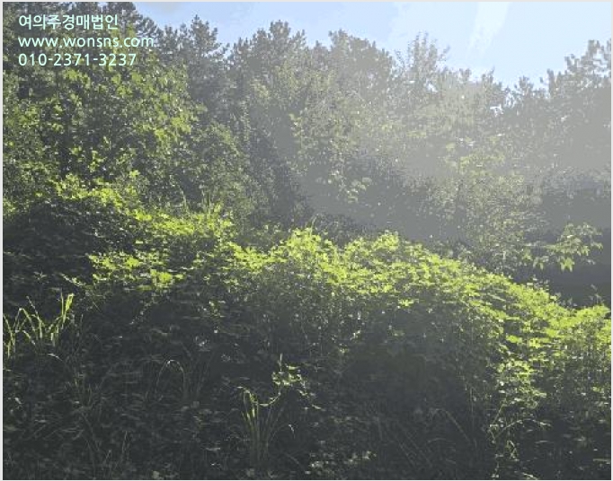 ÅäÁö(ÀÓ¾ß) »çÁø1 | »çõ½Ã ½Ç¾Èµ¿ 258 | 2025Ÿ°æ31164 | ÅäÁö(ÀÓ¾ß)°æ¸Å