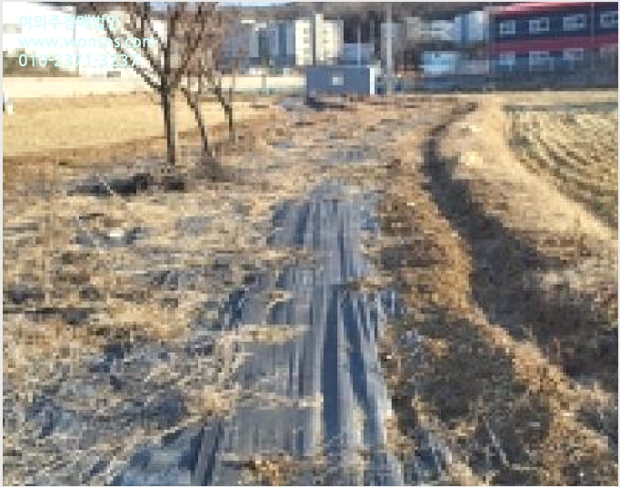 ÅäÁö(´ä) »çÁø1 | °í¾ç½Ã ´ö¾ç±¸ ³»À¯µ¿ | 2025Ÿ°æ65150 | ÅäÁö(´ä)°æ¸Å