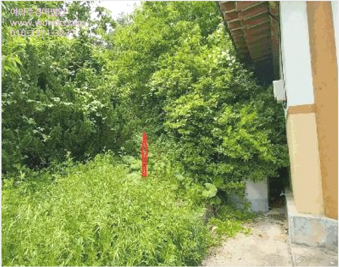 ÅäÁö(Àü) »çÁø1 | ¹«ÁÖ±º ºÎ³²¸é °¡´ç¸® | 2025Ÿ°æ31093 | ÅäÁö(Àü)°æ¸Å
