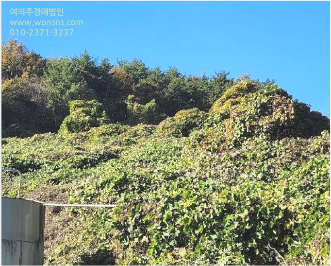 ÅäÁö(ÀÓ¾ß) »çÁø1 | ³²Çرº ³²¸é È«Çö¸® | 2024Ÿ°æ38942 | ÅäÁö(ÀÓ¾ß)°æ¸Å