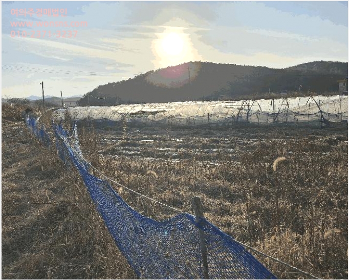 ÅäÁö(´ä) »çÁø1 | ±Ý³²¸é µµ¾Ï¸® 107 | 2025Ÿ°æ4022 | ÅäÁö(´ä)°æ¸Å
