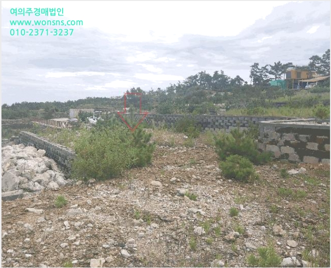 ÅäÁö(ÀÓ¾ß) »çÁø1 | ºÎ¾È±º º¯»ê¸é ¿î»ê¸® | 2025Ÿ°æ30407 | ÅäÁö(ÀÓ¾ß)°æ¸Å