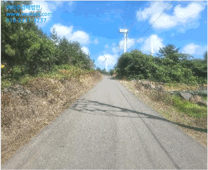 ÅäÁö(ÀâÁ¾Áö) »çÁø1 | Á¦Áֽà ÇѸ²À¾ ±Ý¾Ç¸® | 2025Ÿ°æ8180 | ÅäÁö(ÀâÁ¾Áö)°æ¸Å