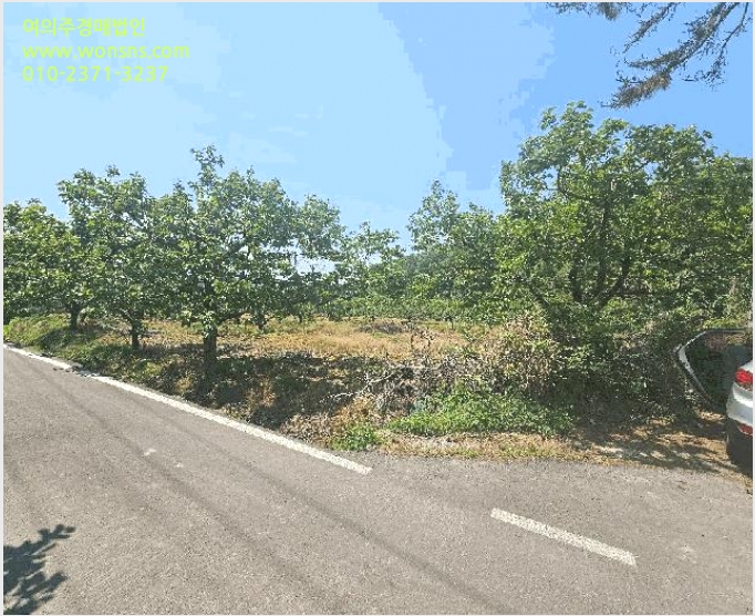 ÅäÁö(°ú¼ö¿ø) »çÁø1 | ûµµ±º À̼¸é Ä¥°î¸® | 2025Ÿ°æ795 | ÅäÁö(°ú¼ö¿ø)°æ¸Å