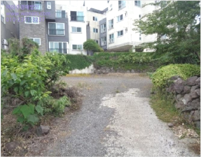 ÅäÁö(´ëÁö) »çÁø1 | ¼±ÍÆ÷½Ã Áß¹®µ¿ 1612 | 2025Ÿ°æ8072 | ÅäÁö(´ëÁö)°æ¸Å