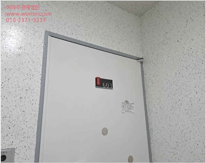 ´Ù¼¼´ë,ºô¶ó »çÁø1 | °¼±¸ Ȱ 105-438 | 2023Ÿ°æ101261 | ´Ù¼¼´ë,ºô¶ó°æ¸Å