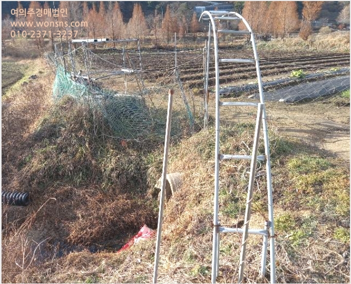 ÅäÁö(´ä) »çÁø1 | ¿¹»ê±º ´ö»ê¸é ±¤Ãµ¸® | 2024Ÿ°æ21702 | ÅäÁö(´ä)°æ¸Å