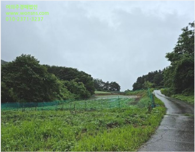 ÅäÁö(Àü) »çÁø1 | Ⱦ¼º±º °¸²¸é °¸²¸® | 2025Ÿ°æ20725 | ÅäÁö(Àü)°æ¸Å
