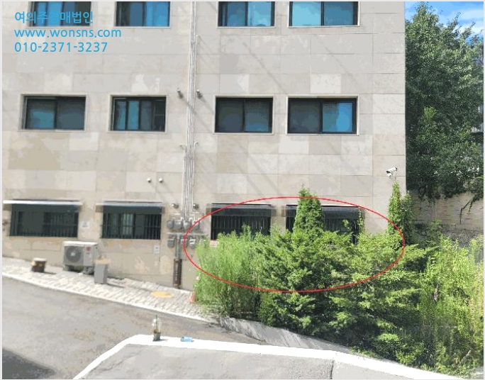 »ó°¡ »çÁø1 | ÀºÆò±¸ ½Å»çµ¿ 302 | 2025Ÿ°æ51758 | »ó°¡°æ¸Å