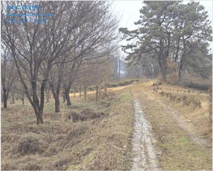 ÅäÁö(ÀÓ¾ß) »çÁø1 | õ¾È½Ã µ¿³²±¸ ¼ö½Å¸é | 2025Ÿ°æ12894 | ÅäÁö(ÀÓ¾ß)°æ¸Å