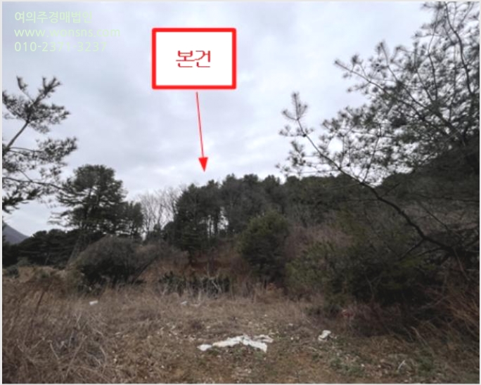 ÅäÁö(ÀÓ¾ß) »çÁø1 | °¡Æò±º ºÏ¸é ¹éµÐ¸® | 2024Ÿ°æ73851 | ÅäÁö(ÀÓ¾ß)°æ¸Å