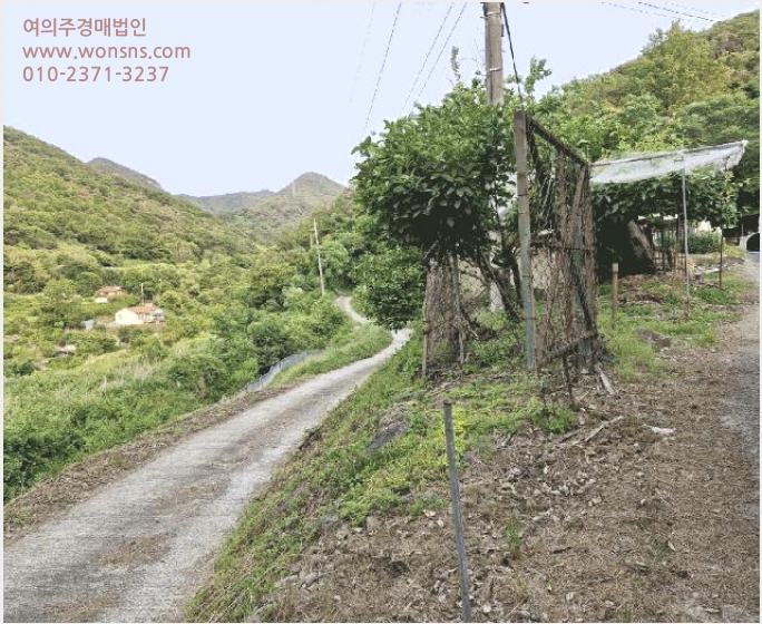 ÅäÁö(´ä) »çÁø1 | ¹Ð¾ç½Ã ºÎºÏ¸é ¿îÀü¸® | 2025Ÿ°æ1011 | ÅäÁö(´ä)°æ¸Å