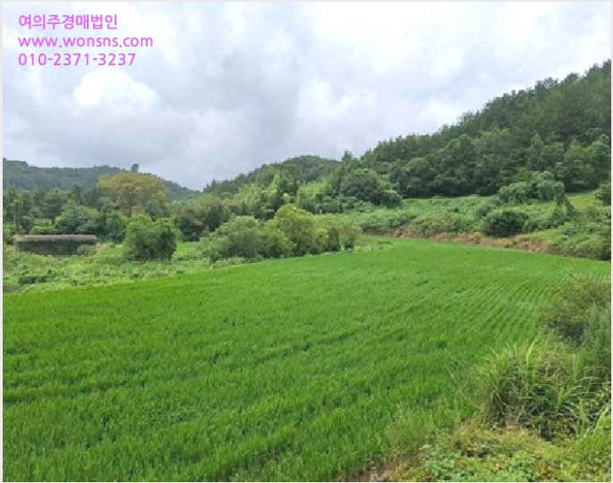 ÅäÁö(´ä) »çÁø1 | ³²Çرº »ïµ¿¸é ¿µÁö¸® | 2025Ÿ°æ824 | ÅäÁö(´ä)°æ¸Å
