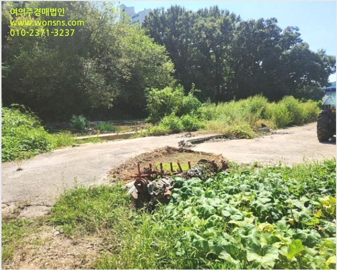 Ãà»ç(³ó°¡½Ã¼³) »çÁø1 | ¾çÁֽà ¹é¼®À¾ °¡¾÷¸® | 2024Ÿ°æ85119 | Ãà»ç(³ó°¡½Ã¼³)°æ¸Å