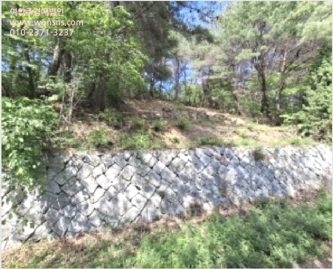 ÅäÁö(ÀÓ¾ß) »çÁø1 | »çõ½Ã °ï¸í¸é ¼Û¸²¸® | 2025Ÿ°æ639 | ÅäÁö(ÀÓ¾ß)°æ¸Å