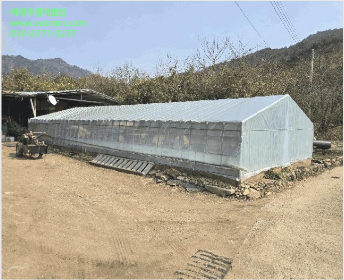 ´Üµ¶ÁÖÅà »çÁø1 | º¸¼º±º ¹ú±³À¾ ¿¬»ê¸® | 2025Ÿ°æ52424 | ´Üµ¶ÁÖÅðæ¸Å