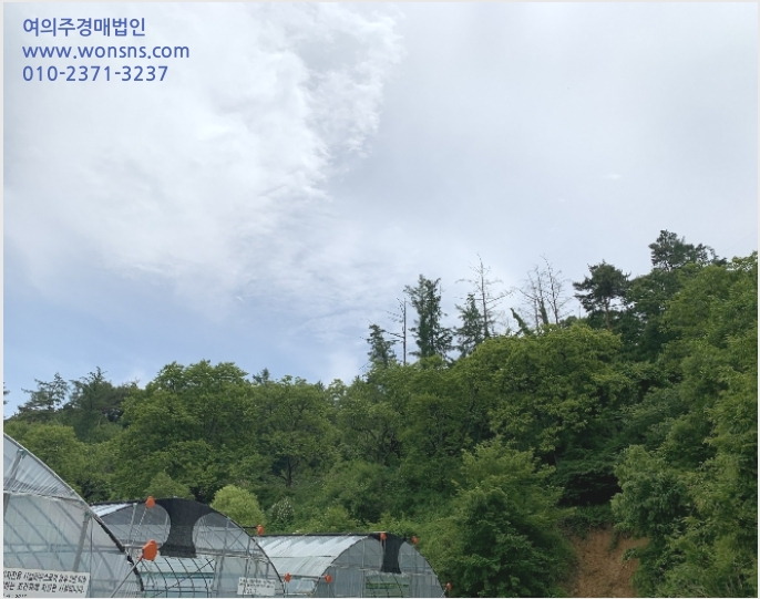 ÅäÁö(ÀÓ¾ß) »çÁø1 | û¾ç±º ºñºÀ¸é ½Å¿ø¸® | 2019Ÿ°æ20599 | ÅäÁö(ÀÓ¾ß)°æ¸Å