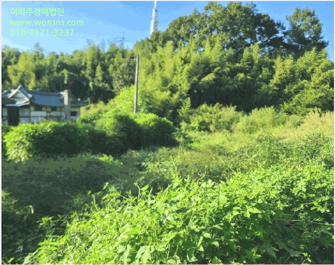 ÅäÁö(ÀÓ¾ß) »çÁø1 | ´çÁø½Ã ¼®¹®¸é »ïȸ® | 2025Ÿ°æ51694 | ÅäÁö(ÀÓ¾ß)°æ¸Å