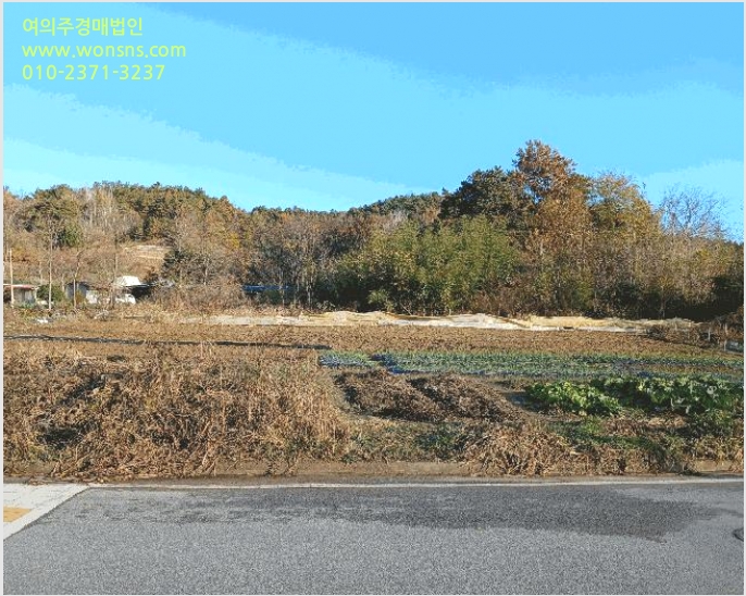 ÅäÁö(ÀÓ¾ß) »çÁø1 | ´ã¾ç±º ´ã¾çÀ¾ ¿À°è¸® | 2025Ÿ°æ34451 | ÅäÁö(ÀÓ¾ß)°æ¸Å