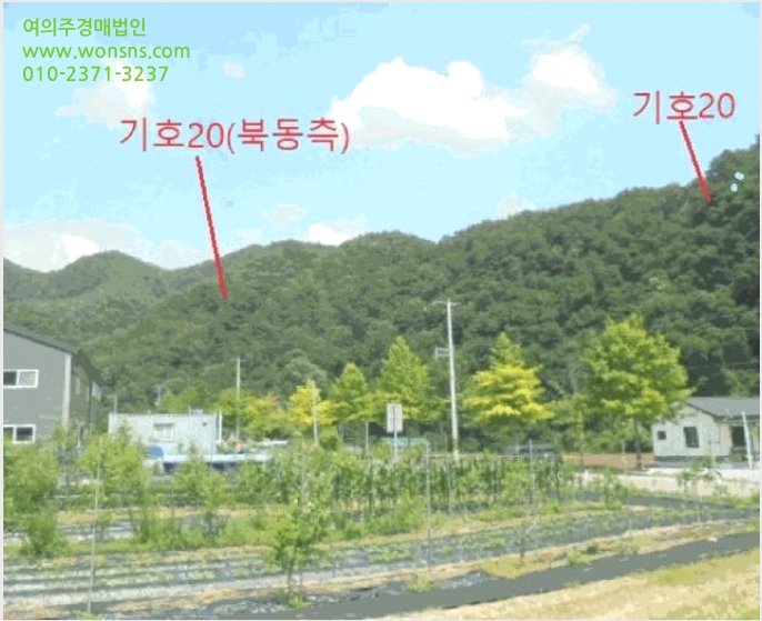 ÅäÁö(ÀÓ¾ß) »çÁø1 | Á¦Ãµ½Ã ´ö»ê¸é ½ÅÇö¸® | 2025Ÿ°æ5339 | ÅäÁö(ÀÓ¾ß)°æ¸Å
