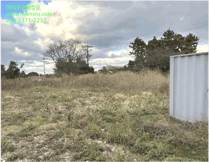ÅäÁö(´ëÁö) »çÁø1 | Á¦Áֽà µµ³²µ¿ 1271 | 2025Ÿ°æ2020 | ÅäÁö(´ëÁö)°æ¸Å
