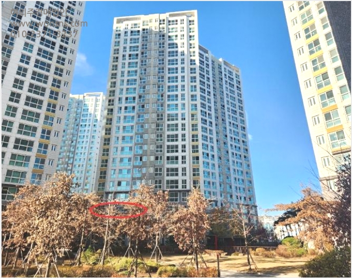 ¾ÆÆÄÆ® »çÁø1 | ¾Æ»ê½Ã dz±âµ¿ 514 ¾Æ»êdz±âÀÌÁö´õ¿ø1Â÷¾ÆÆÄÆ® | 2024Ÿ°æ115610 | ¾ÆÆÄÆ®°æ¸Å