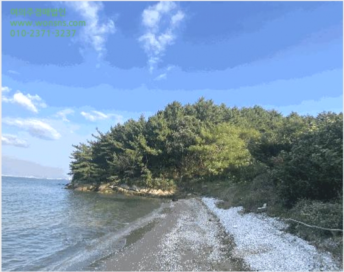 ÅäÁö(ÀÓ¾ß) »çÁø1 | ¸ñÆ÷½Ã ´Þµ¿ »ê210-1 | 2025Ÿ°æ51530 | ÅäÁö(ÀÓ¾ß)°æ¸Å