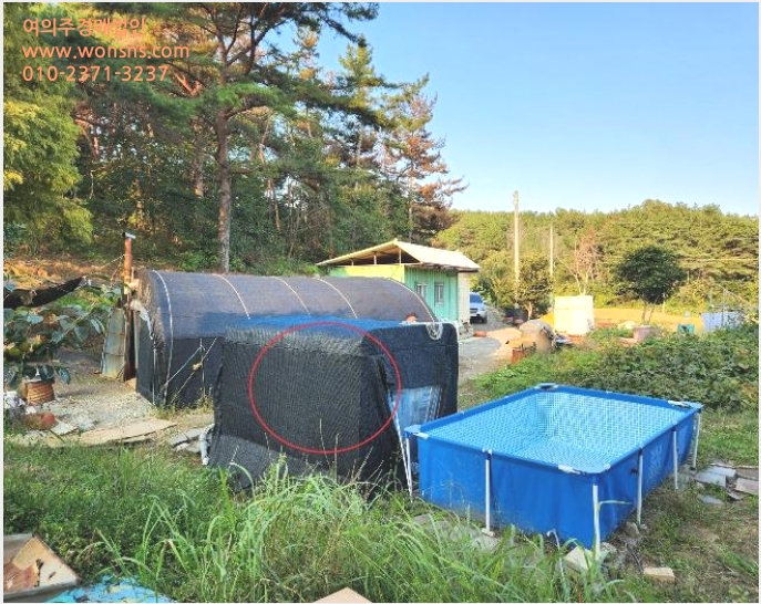ÅäÁö(Àü) »çÁø1 | »çõ½Ã ¼Æ÷¸é ´ÙÆò¸® | 2024Ÿ°æ38003 | ÅäÁö(Àü)°æ¸Å
