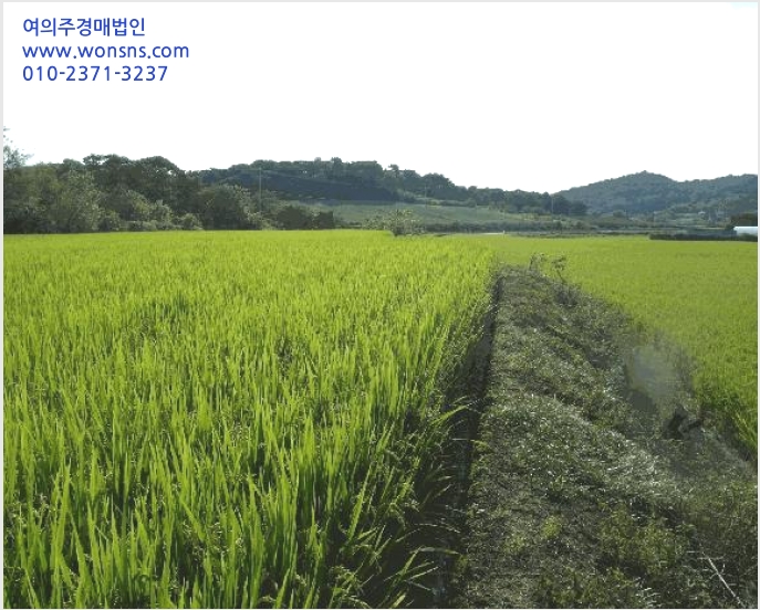 ÅäÁö(´ä) »çÁø1 | ³í»ê½Ã ¿¬»ê¸é ½Å¾Ï¸® | 2025Ÿ°æ471 | ÅäÁö(´ä)°æ¸Å