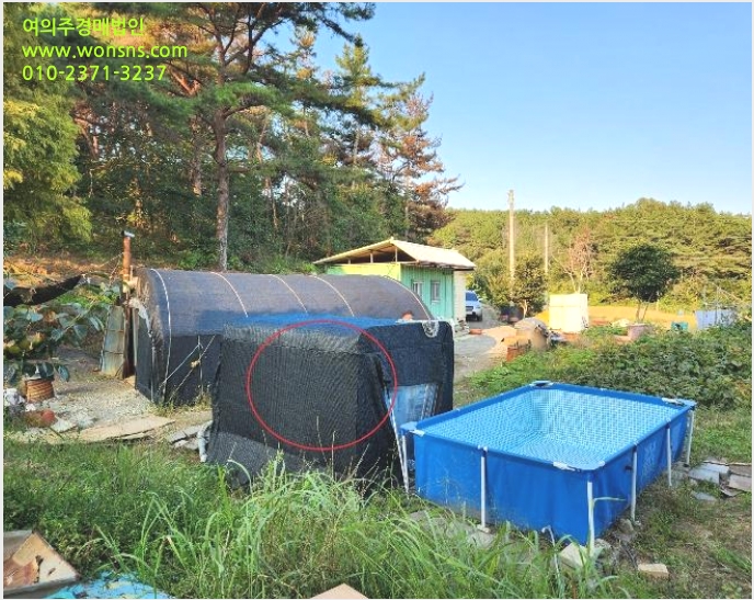 ÅäÁö(Àü) »çÁø1 | »çõ½Ã ¼Æ÷¸é ´ÙÆò¸® | 2024Ÿ°æ38003 | ÅäÁö(Àü)°æ¸Å