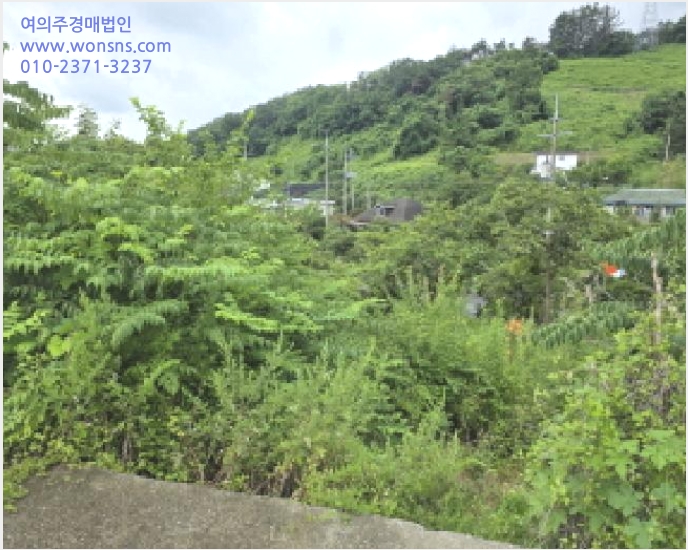 ÅäÁö(Àü) »çÁø1 | ûµµ±º À̼¸é ÆÈÁ¶¸® | 2025Ÿ°æ816 | ÅäÁö(Àü)°æ¸Å