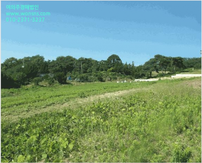 ÅäÁö(Àü) »çÁø1 | ³í»ê½Ã ÀºÁø¸é ½Ã¹¦¸® | 2025Ÿ°æ20377 | ÅäÁö(Àü)°æ¸Å