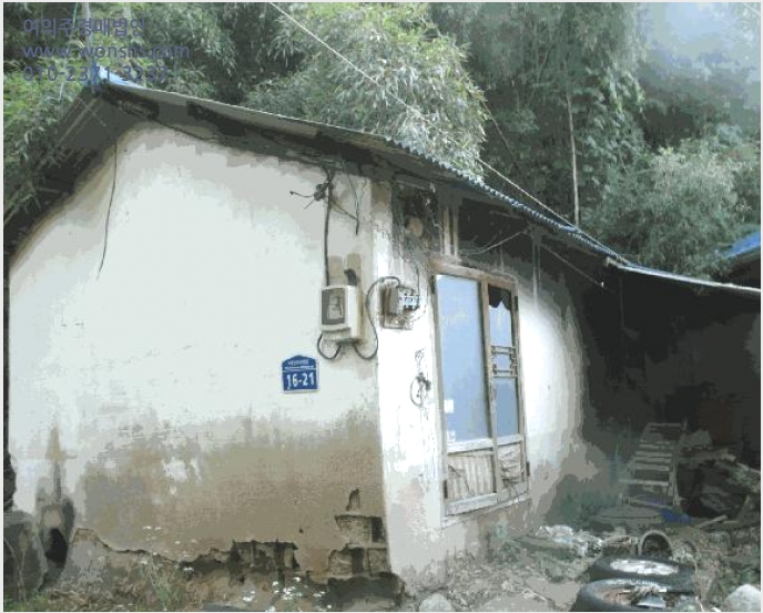 ÅäÁö(Àü) »çÁø1 | ³í»ê½Ã ÀºÁø¸é ½Ã¹¦¸® | 2025Ÿ°æ20377 | ÅäÁö(Àü)°æ¸Å