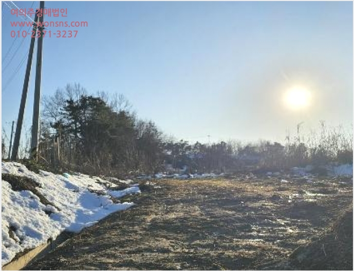 ÅäÁö(ÀâÁ¾Áö) »çÁø1 | ÀÌõ½Ã ¼³¼º¸é Á¦¿ä¸® | 2024Ÿ°æ6576 | ÅäÁö(ÀâÁ¾Áö)°æ¸Å
